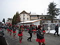 Faschingsumzug2010 1.jpg