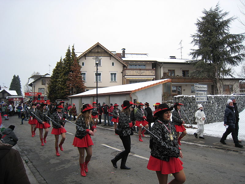 Datei:Faschingsumzug2010 1.jpg