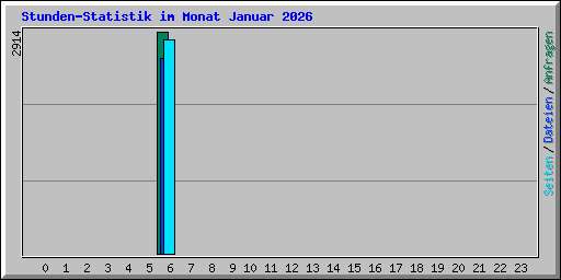 Stunden-Statistik im Monat Januar 2026